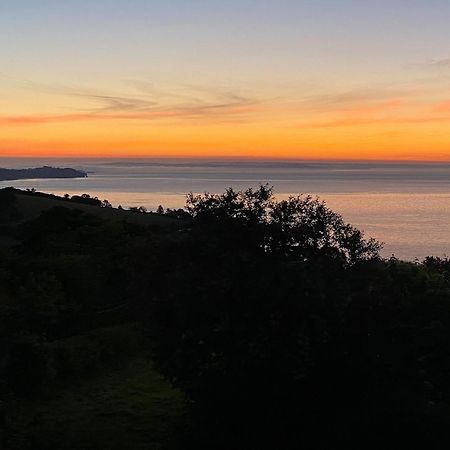 Cliff Lodge Torquay Εξωτερικό φωτογραφία